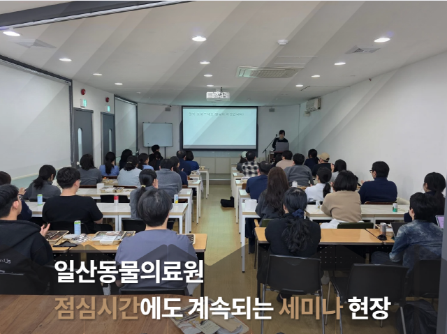 b8544bd6b4fdd9f928350320fbf4345b_1763105302_4804.png b8544bd6b4fdd9f928350320fbf4345b_1763105302_4804.png